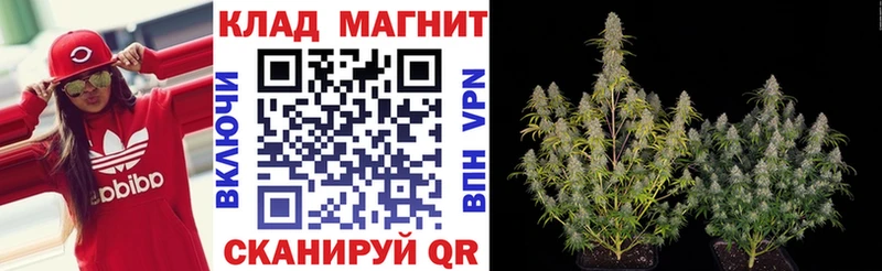 МДМА Гай