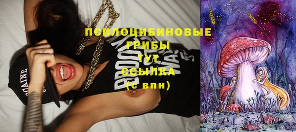прущая мука Иннополис