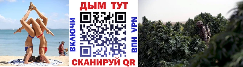 Купить  Гай  Бошки Шишки конопля 